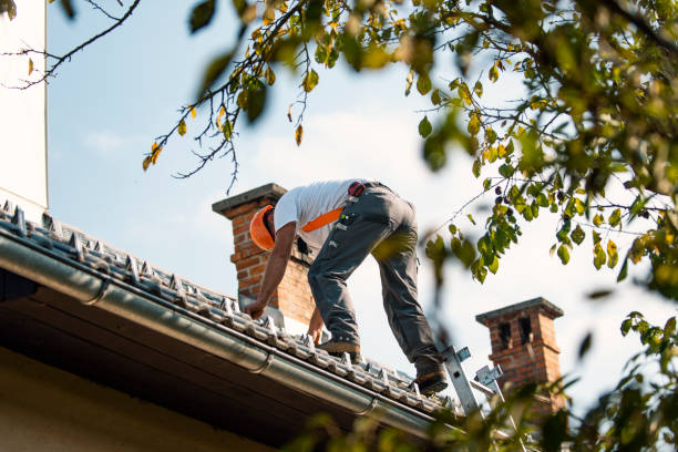 Best Emergency Roof Repair Services  in Halfway House, PA