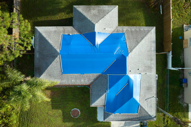 Best Roof Maintenance and Cleaning  in Halfway House, PA